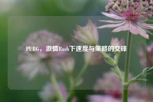 PUBG，     Rush下速度与策略的交锋