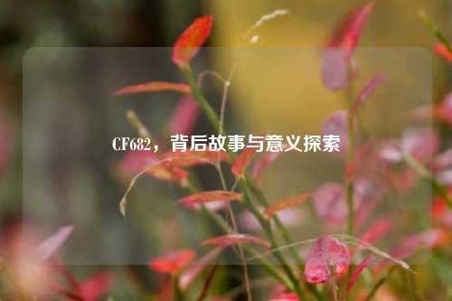 CF682，背后故事与意义探索