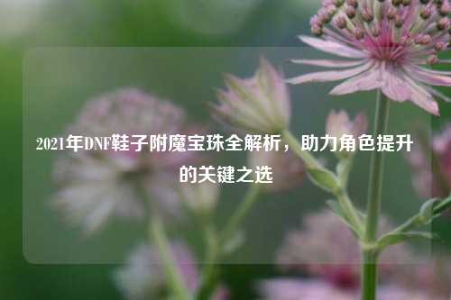 2021年DNF鞋子附魔宝珠全解析，助力角色提升的关键之选