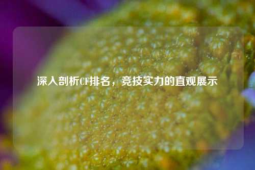 深入剖析CF排名，竞技实力的直观展示