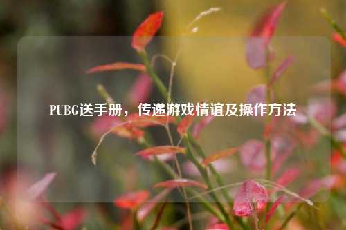 PUBG送手册，传递游戏情谊及操作     