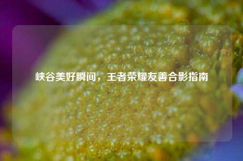 峡谷美好瞬间，王者荣耀友善合影指南