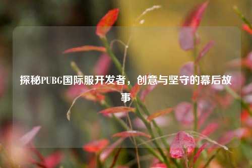探秘PUBG国际服开发者，创意与坚守的幕后故事