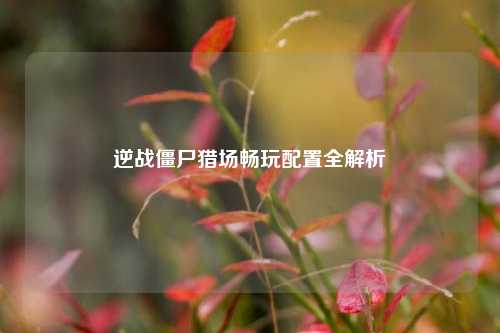 逆战僵尸猎场畅玩配置全解析