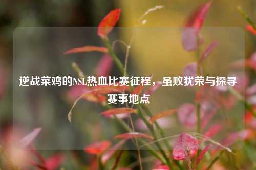 逆战菜鸡的NSL热血比赛征程，虽败犹荣与探寻赛事地点