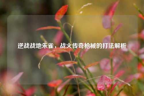 逆战战地朱雀，战火传奇枪械的打法解析