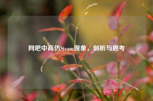网吧中高仿Steam现象，剖析与思考