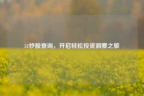 51炒股查询，开启轻松投资洞察之旅