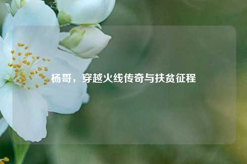 杨哥，穿越火线传奇与扶贫征程