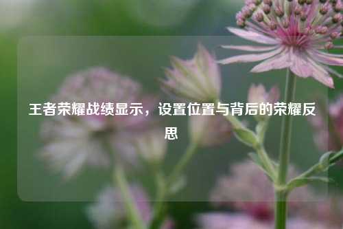 王者荣耀战绩显示，设置位置与背后的荣耀反思