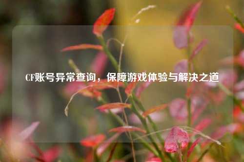 CF账号异常查询，保障游戏体验与解决之道
