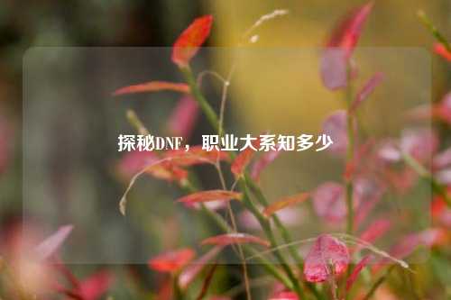 探秘DNF，职业大系知多少