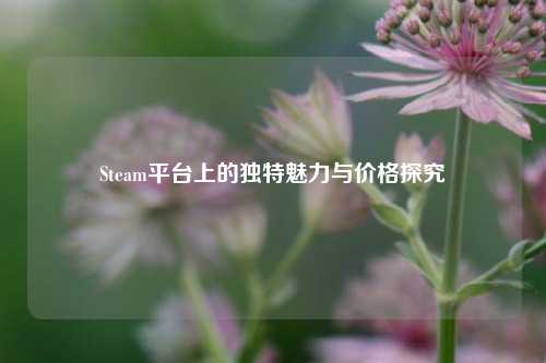 Steam平台上的独特魅力与价格探究