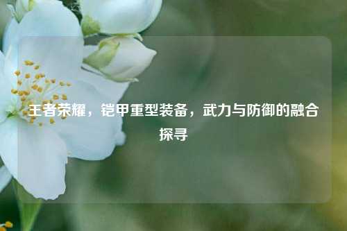 王者荣耀，铠甲重型装备，武力与防御的融合探寻