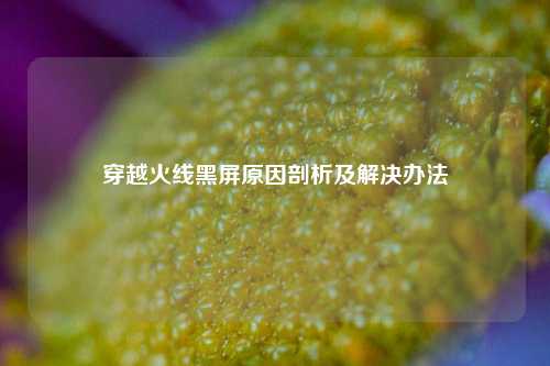 穿越火线黑屏原因剖析及解决办法