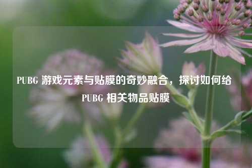 PUBG 游戏元素与贴膜的奇妙融合，探讨如何给 PUBG 相关物品贴膜