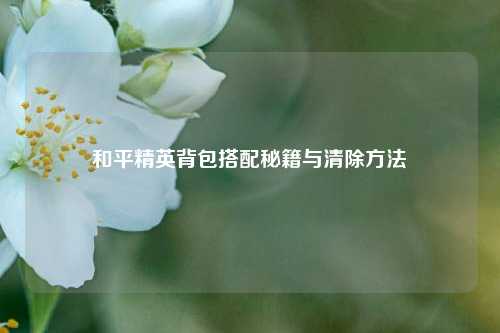 和平精英背包搭配秘籍与清除方法