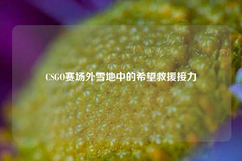 CSGO赛场外雪地中的希望救援接力