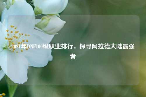2021年DNF100级职业排行，探寻阿拉德大陆最强者