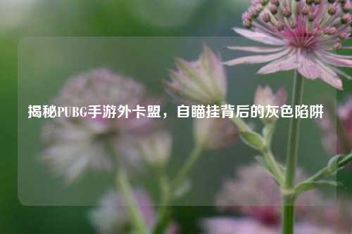 揭秘PUBG手游外卡盟，自瞄挂背后的灰色陷阱