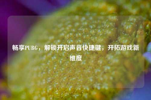 畅享PUBG，解锁开启声音快捷键，开拓游戏新维度