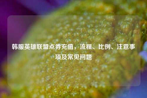 韩服英雄联盟点券充值，流程、比例、注意事项及常见问题